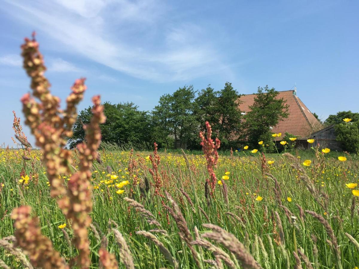 B&B Boerderij De Tempel Greonterp Eksteriør billede