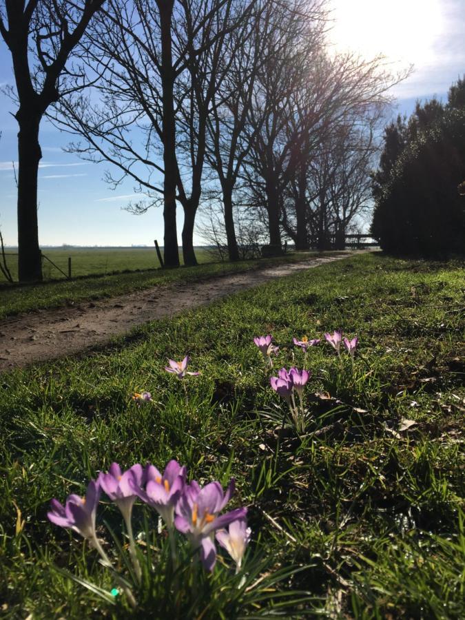 B&B Boerderij De Tempel Greonterp Eksteriør billede