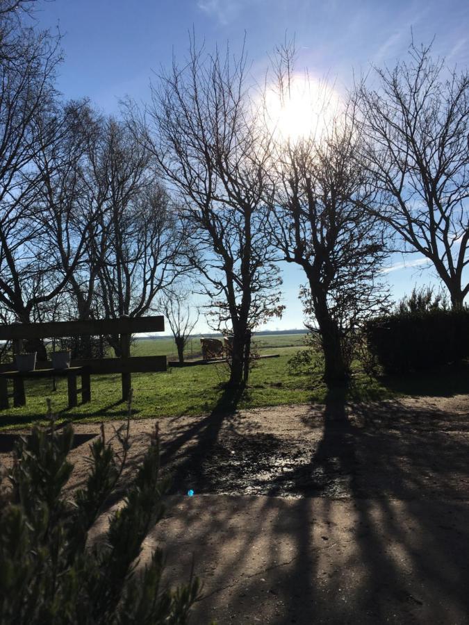 B&B Boerderij De Tempel Greonterp Eksteriør billede